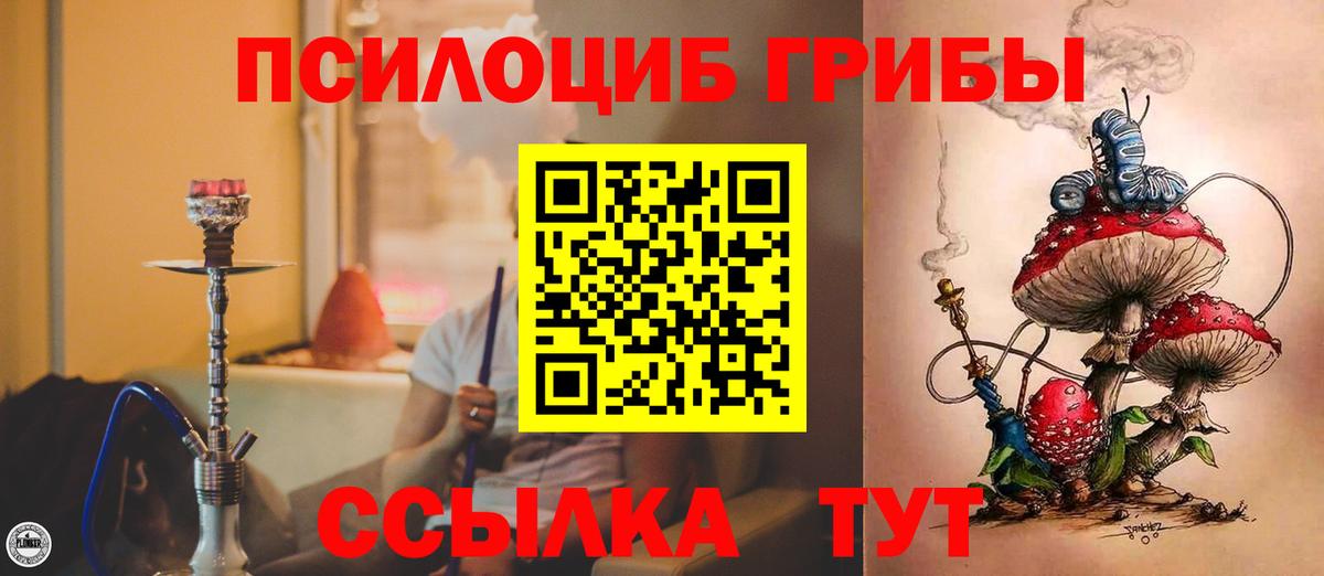 Галлюциногенные грибы мухоморы Благовещенск