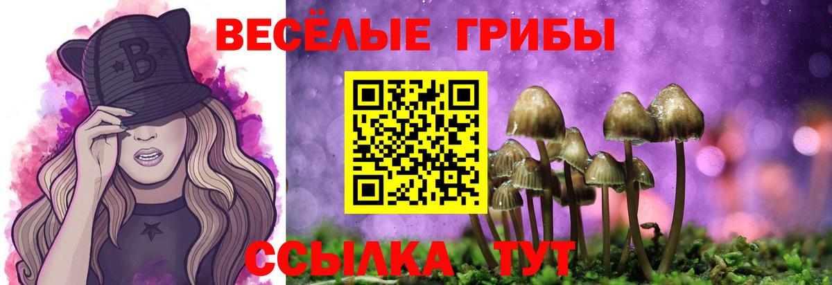 Псилоцибиновые грибы Magic Shrooms  Вход с VPN  Галлюциногенные грибы MAGIC MUSHROOMS  цена наркотик  Благовещенск 